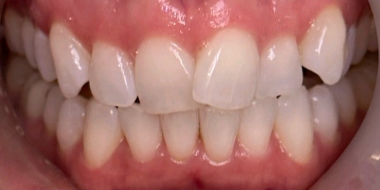 Alexandria Dental Art